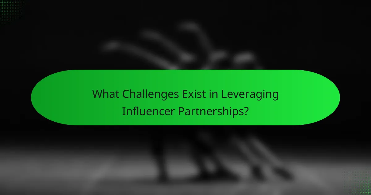 What Challenges Exist in Leveraging Influencer Partnerships?